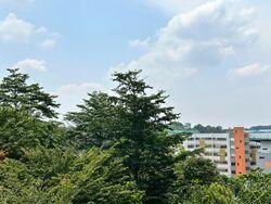 Blk 636B Senja Parc View (Bukit Panjang), HDB 4 Rooms #603126981